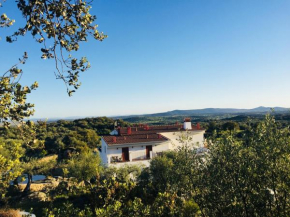 Гостиница Flores Amarillas B&B  Альмоарин